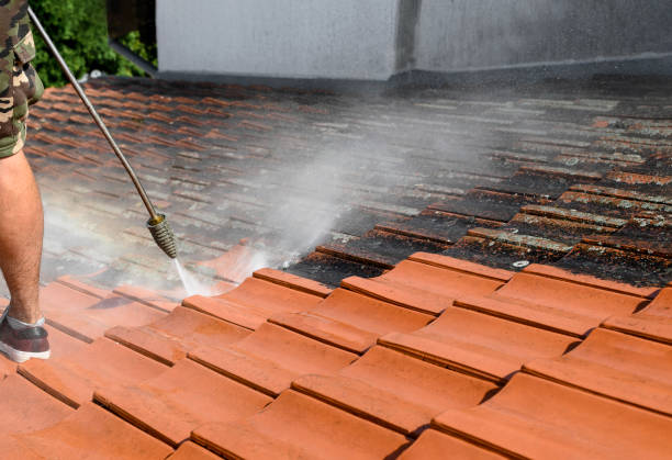 Best Best Pressure Washing Companies  in Hartselle, AL