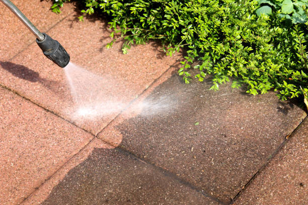 Pressure Washing Services for Businesses in Hartselle, AL